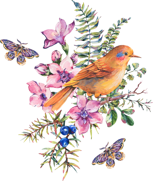 Birds with Flowers, Botanical Watercolor